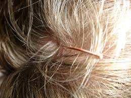 How AHA Follicle Drug Testing Services in Miami, FL Works?
