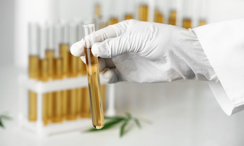 Why Is Marijuana Still Tested for Despite Being Legal?